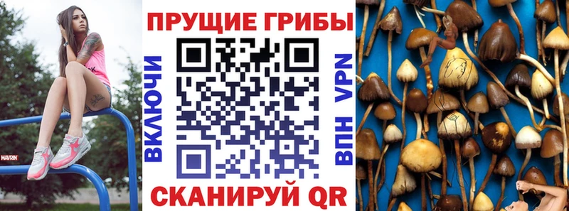 МЕГА ССЫЛКА  Выкса  Псилоцибиновые грибы MAGIC MUSHROOMS 