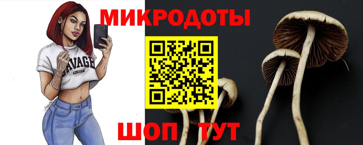 Псилоцибиновые грибы мицелий  Вход с VPN  Выкса 